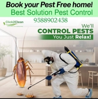 Best solution pest control Best solution pest control