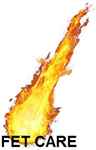FIRE ENGINEERING TECHNOLOGY