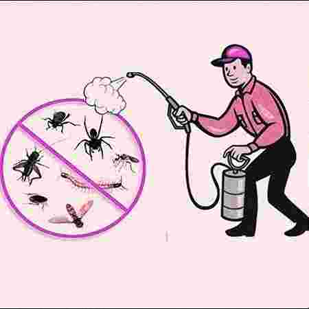 Ant Control
