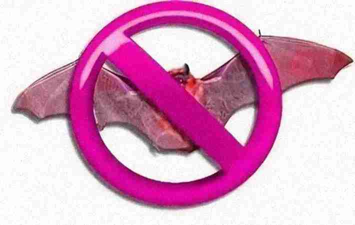 vidit pest control delhi vidit pest control delhi