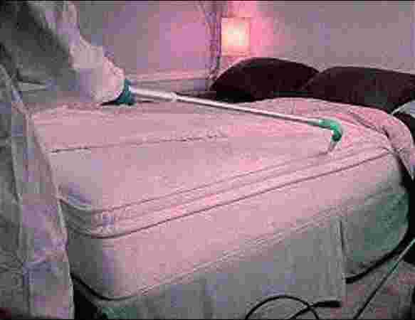 Bedbugs Treatment