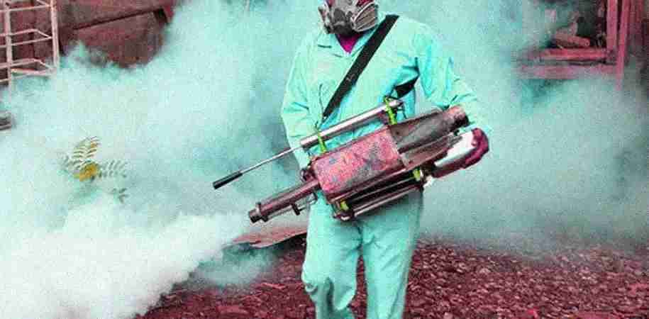 vidit pest control delhi vidit pest control delhi