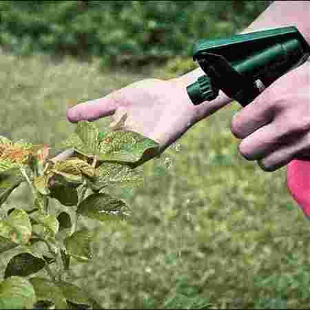 Herbal and Organic Pest Control