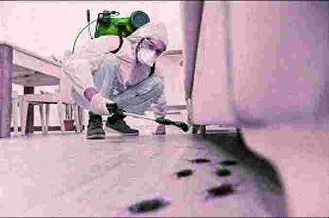 Home Pest Control Treatment