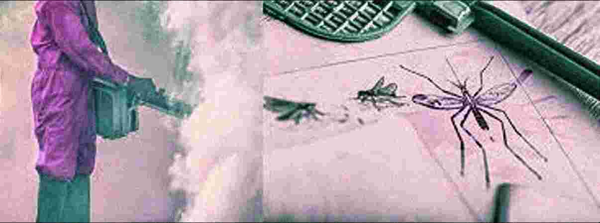 Mosquito Control