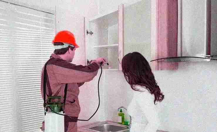 vidit pest control delhi