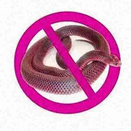 vidit pest control delhi