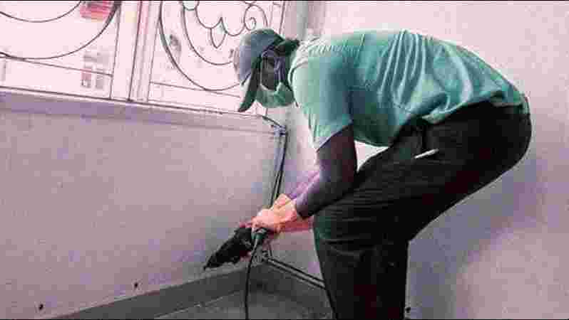 Post-Construction Pest Control