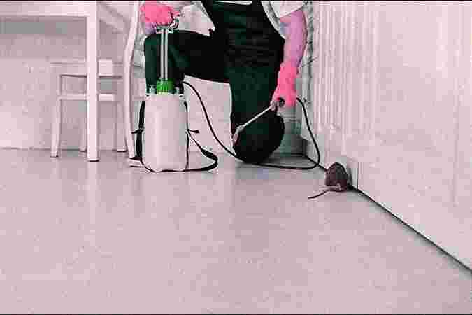 Rodent Control