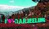 Darjeeling Honeymoon Packages in Delhi