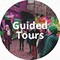Guided Tours in Delhi