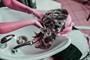 Hair Spas in Delhi