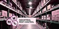 Industrial Pest Control in Mysuru