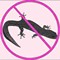 Lizard Treatment in Delhi